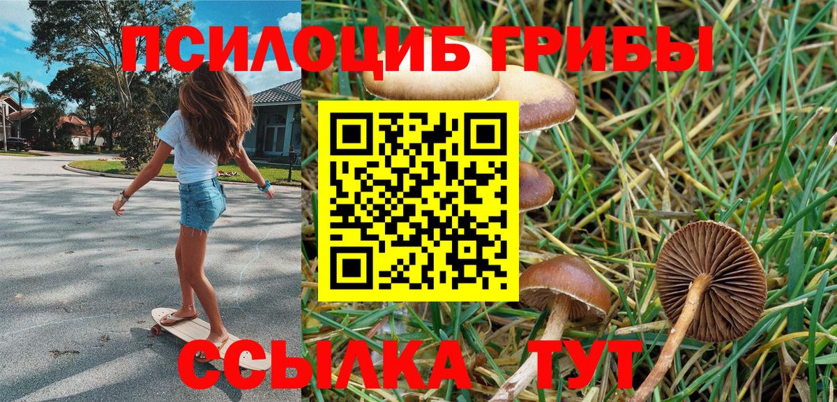 Псилоцибиновые грибы MAGIC MUSHROOMS  Вход с VPN  Псилоцибиновые грибы ЛСД  Майкоп 